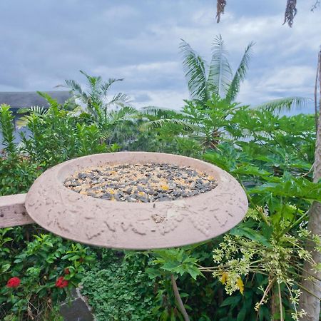 Kona Hawaii Guest House A Unique Hawaii Experience Keauhou Exterior foto
